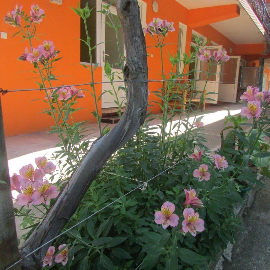 Hotel Kobuleti ภายนอก รูปภาพ